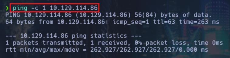 Ping ICMP verificando conectividad con la VPN